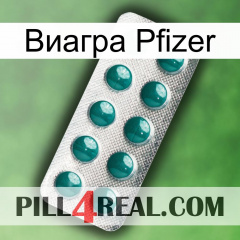 Виагра Pfizer dapoxetine1